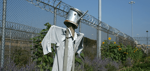 http://www.chicagonow.com/blogs/chicago-garden/Scarecrow%20at%20Cook%20County%20Jail%20Vegetable%20Garden.png